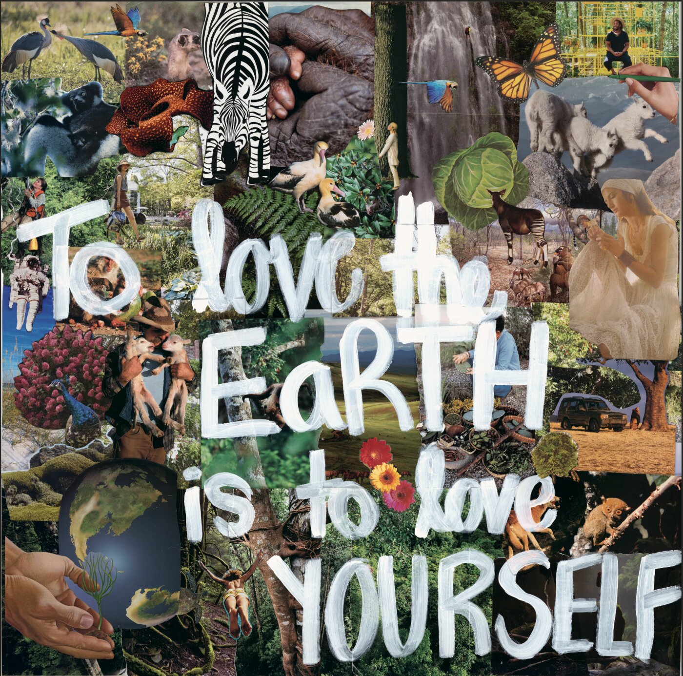 Love the Earth